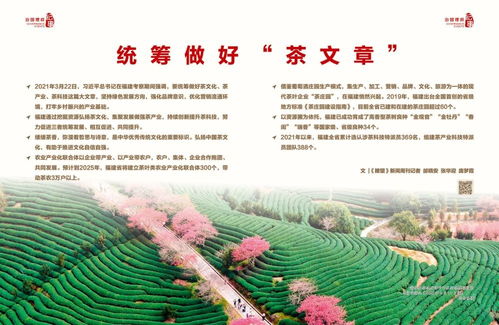 衡水新闻网
