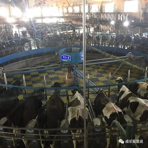 改变开放40年身边事