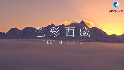 瞭望·治国理政纪事 | 祁连山底色之变