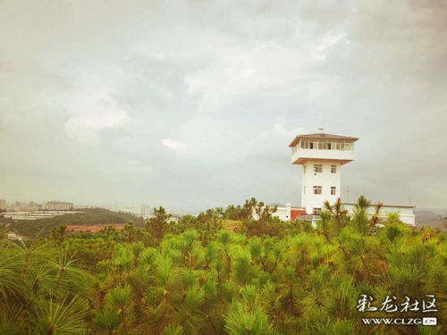 双沟箐瞭望塔 守望山林的明眸