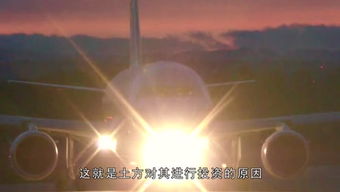 瞭望君鉴 洞察时代风云，启迪智慧人生